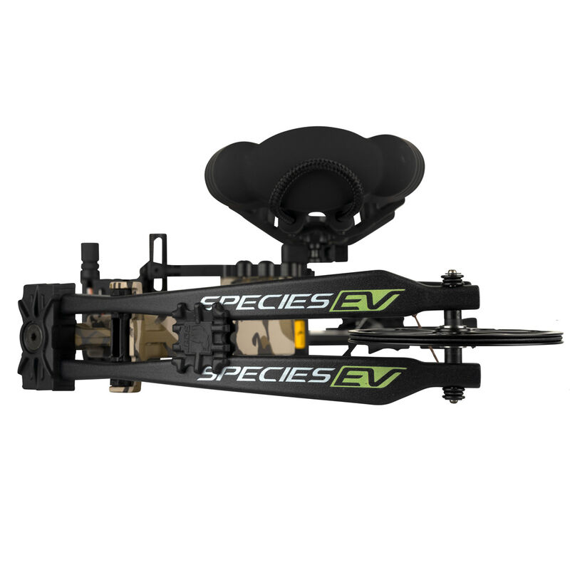 Bear Species EV RTH Compound Bow Package image number 4