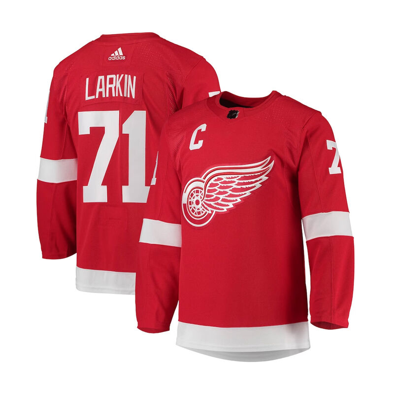 Fanatics Dylan Larkin #71 Detroit Red Wings Jersey image number 0