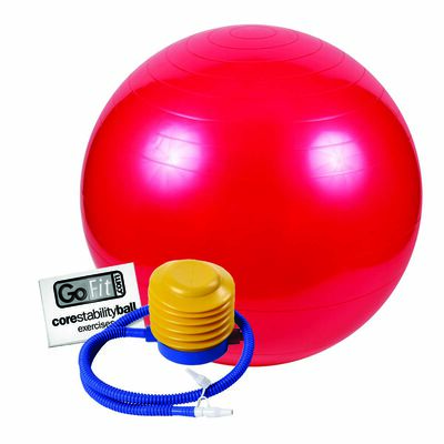 Go Fit 55cm 1000lb Capacity Exercise Ball with Pump & Training Poster