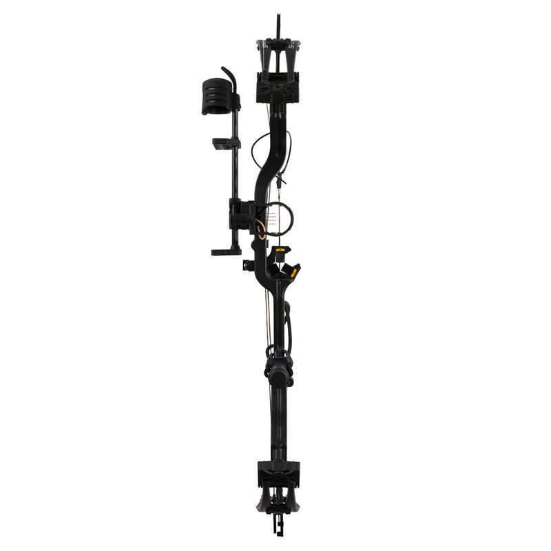 Bear Species EV RTH Compound Bow Package image number 3