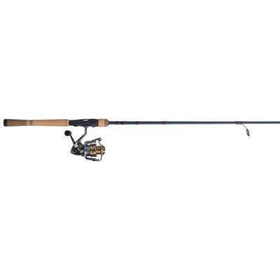 Fenwick President Eagle 2 Piece Spinning Combo