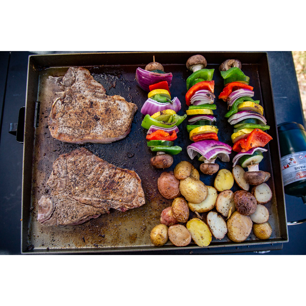 Pit Boss Portable Tabletop 1-Burner Griddle