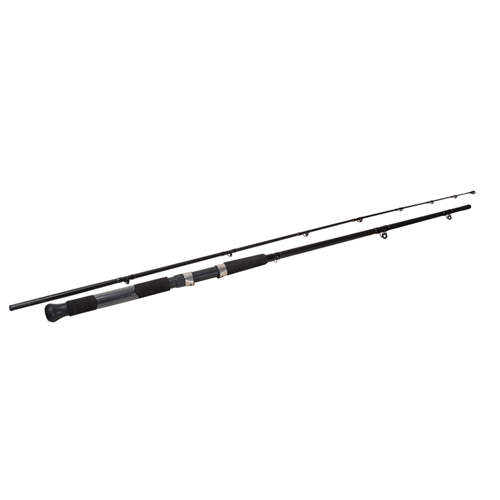 Canyon Creek 9' 2pc Noodle Rod